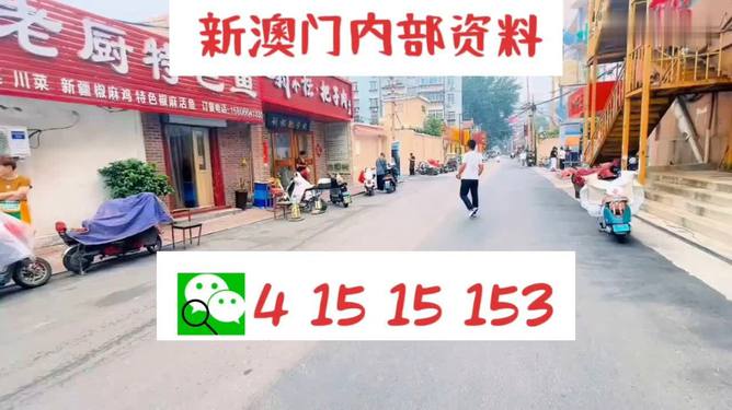 2024澳門天天開好彩資料?,澳門游戲文化及其綜合研究，定義、資料與探索,深層數(shù)據(jù)分析執(zhí)行_LT17.68.81