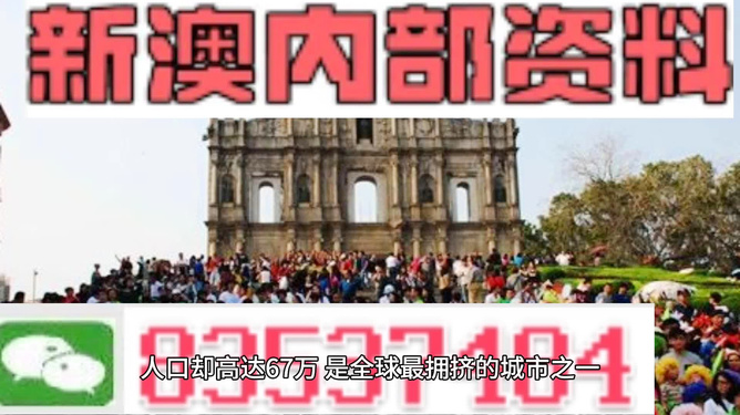 新澳正版資料免費提供,新澳正版資料實時解析與精英版指南，免費獲取信息的力量,連貫評估方法_Surface30.90.81