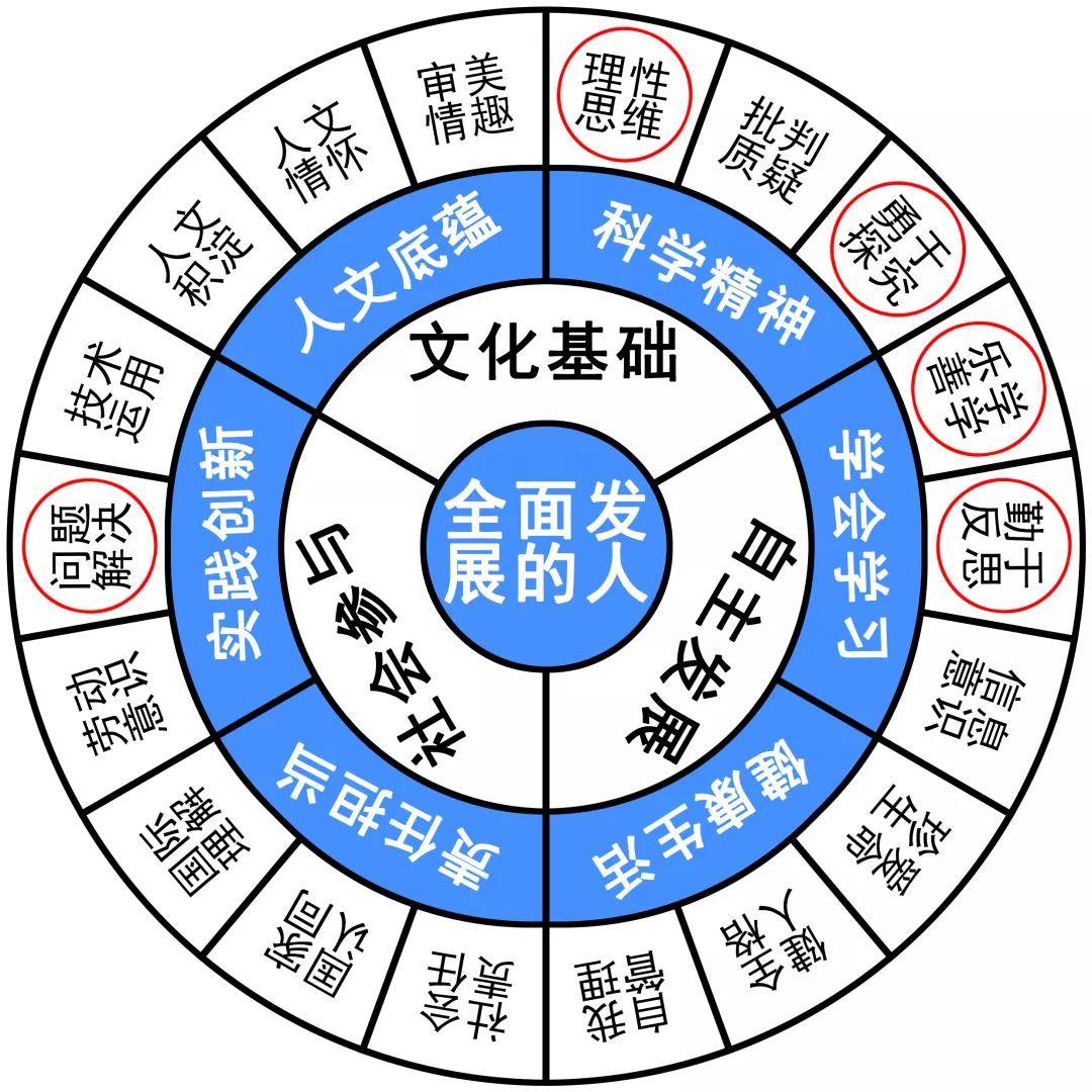 抓碼王自動更新,探索抓碼王，自動更新與快速解答策略實施的奧秘,實證解答解釋定義_小版69.79.95