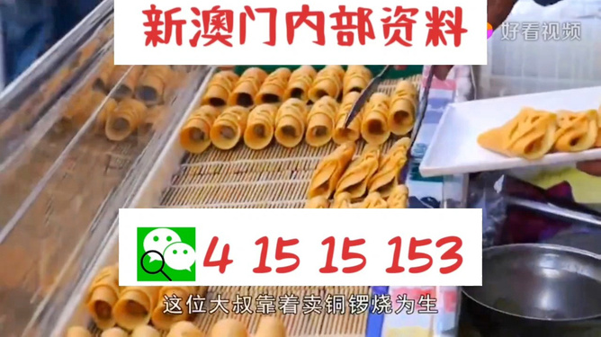 2024年天天開好彩資料,邁向成功之路，2024年天天開好彩的清晰計(jì)劃執(zhí)行輔導(dǎo)指南,適用實(shí)施策略_高級(jí)版63.14.20
