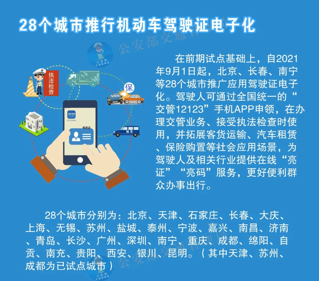 2025新澳免費資料大全,全面數據分析實施_三版51.48.91