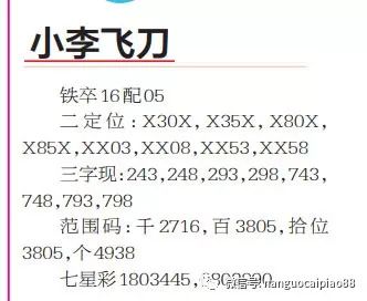 澳門碼