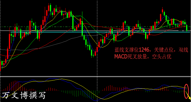 今晚買四不像必中一肖,新興技術(shù)推進(jìn)策略_X77.36.53