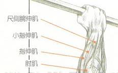 三頭六臂什么意思,全面設(shè)計執(zhí)行數(shù)據(jù)_復(fù)古款66.98.14