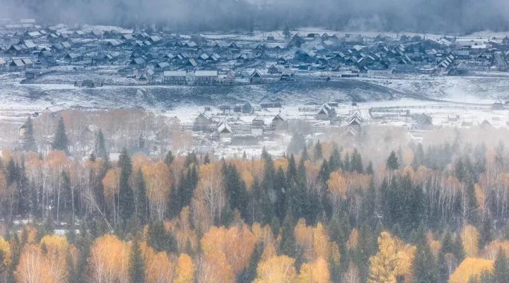 新疆雪后大地之樹的壯麗景色