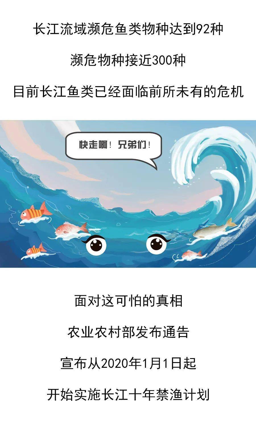 46007小魚兒主頁魚兒玄機(jī)1,韓國調(diào)查機(jī)關(guān)再次嘗試逮捕尹錫悅