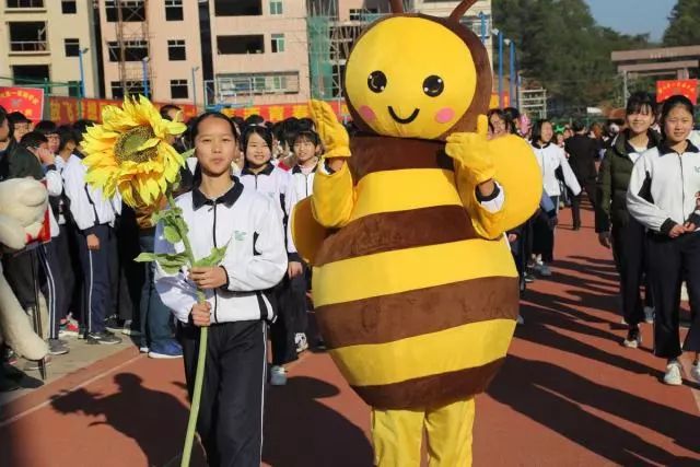 新澳2025管家婆資料紅藍(lán)綠波,爸爸做引體向上女兒乖乖抱爸爸雙腿