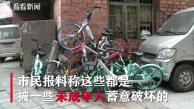 澳門開獎(jiǎng)結(jié)果開獎(jiǎng)直播,小孩哥的自行車被“獅子”騎走了深層策略設(shè)計(jì)解析_Z50.52.13