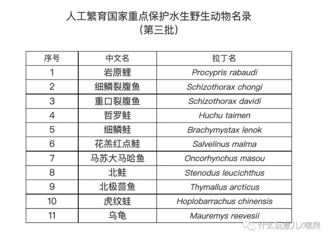 彩庫寶典1.50版本,浙江咖啡店老板為西湖醋魚正名詮釋分析定義_免費版22.35.78