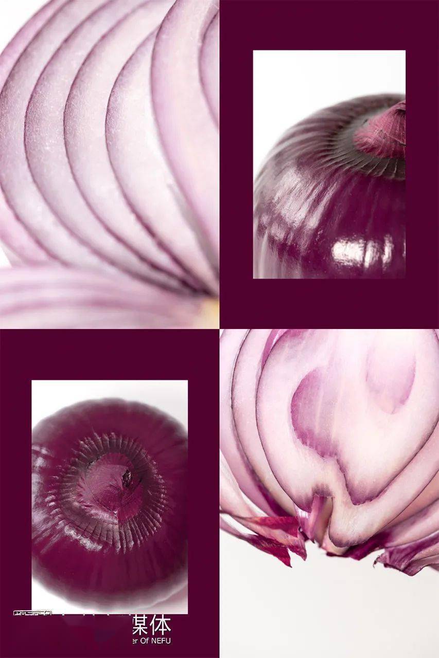 牛彩資料中心真還是假,虹膜寫真存在個人生物信息泄露風險靈活性策略設計_基礎版41.73.67
