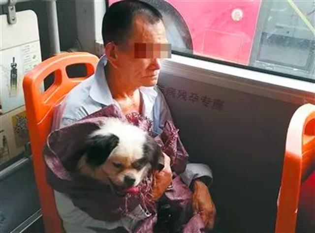 管家婆最準(zhǔn)一句話怎么寫出來(lái),親戚悄悄抱走小狗 母女冒雨接回穩(wěn)定性操作方案分析_鋅版50.30.63